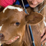 Приглашаем работников ветеринарной индустрии к участию в салоне «Жизнь фермера 2019»