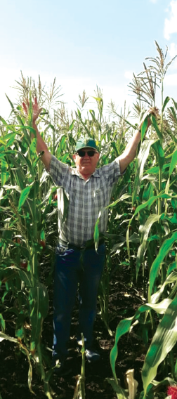 ООО ИПА «Отбор»: гарантия высококачественных семян кукурузы