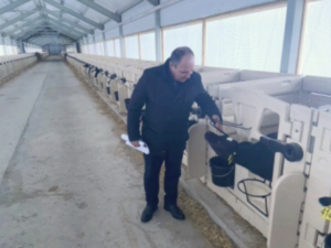 Борис Шемякин осмотрел «телячью деревню» нового молочного комплекса в Спасском районе