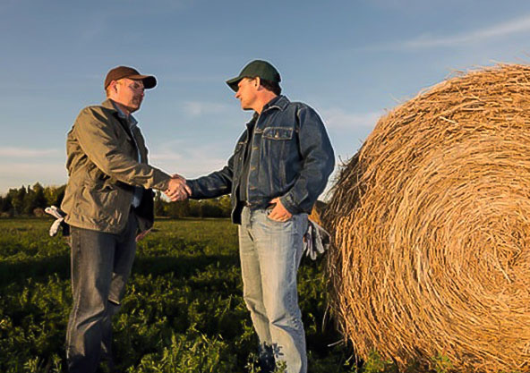 Рязанская область участвует в проекте «Создание системы поддержки фермеров и развитие сельской кооперации»