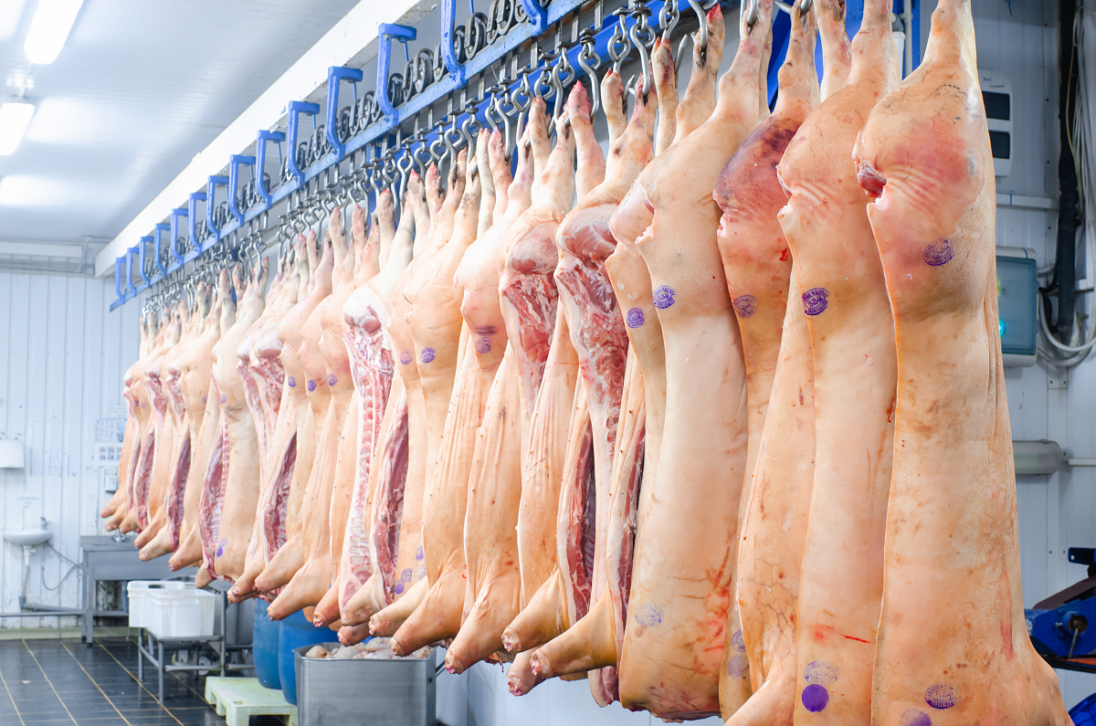 В 2023 году экспорт российской свинины во Вьетнам увеличился в два раза