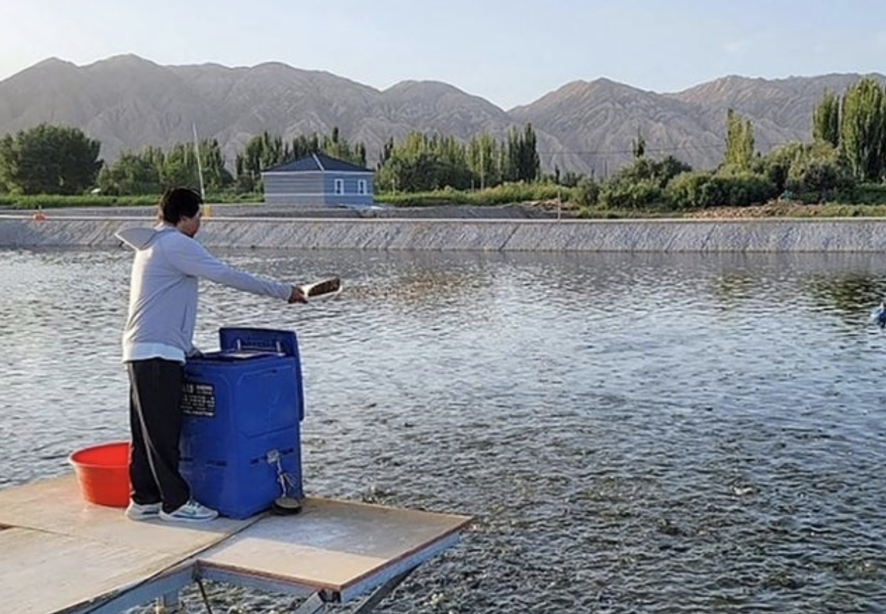 У китайских аквафермеров есть технологии…