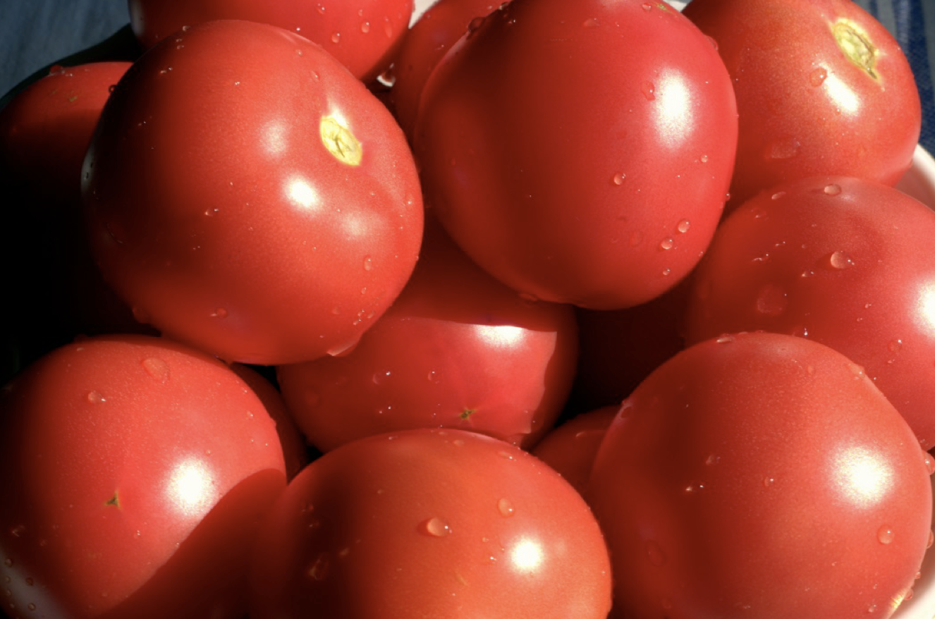 Минсельхоз работает над увеличением поставок в магазины доступных по цене круглых томатов