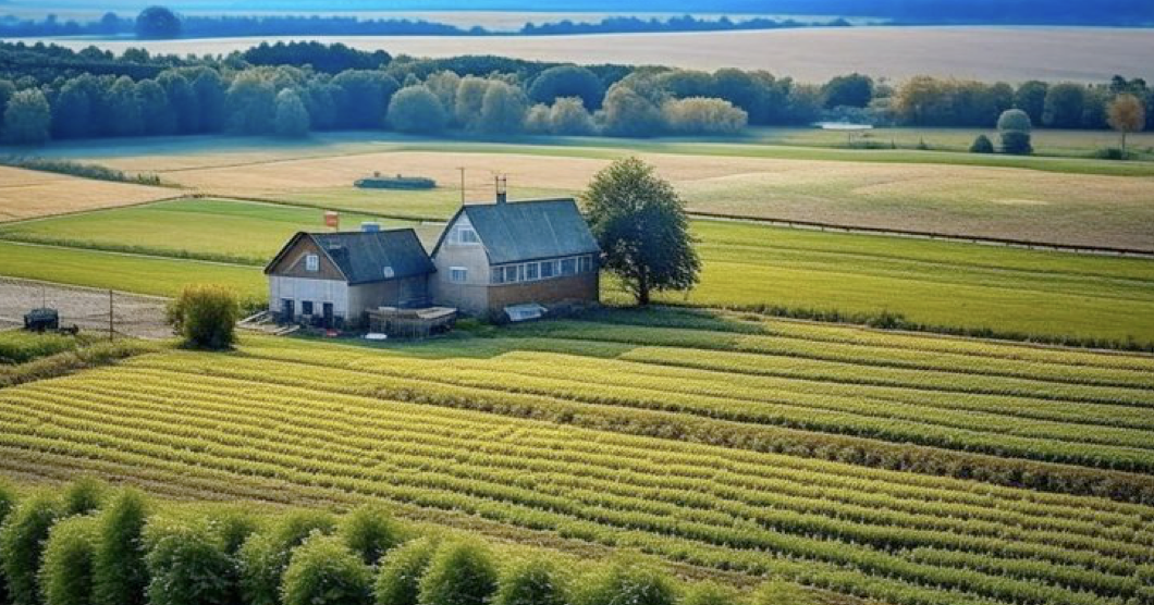 Половина немецких ферм прекратит существование к 2040 году