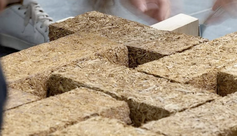 Инновационный сахарный бетон будет производиться в Индии